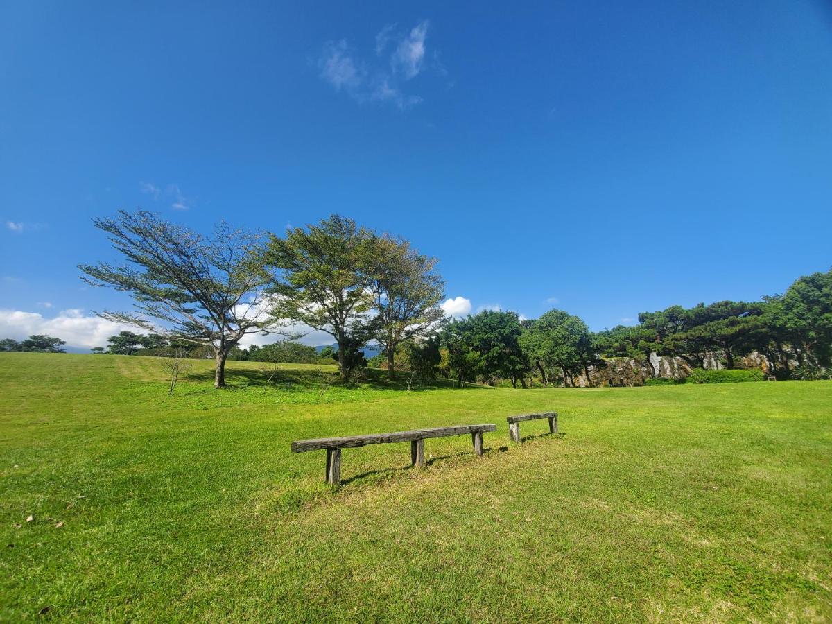 Parkview Hotels & Resorts Hualien Extérieur photo View of the park